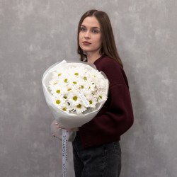 hrizantema kustovaya romashka9